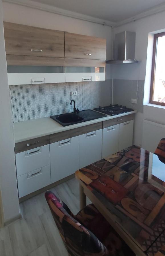 Studio Elisa Apartment Caransebeş Exterior foto