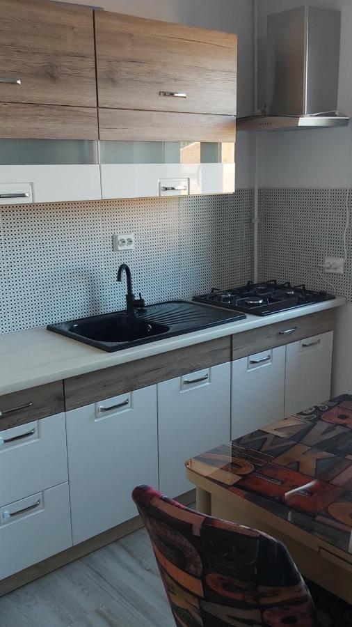 Studio Elisa Apartment Caransebeş Exterior foto