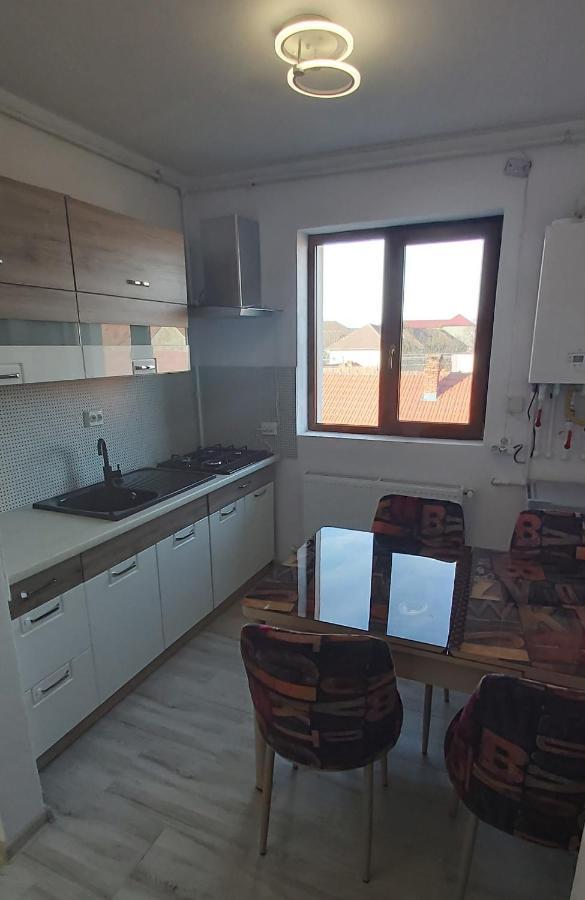 Studio Elisa Apartment Caransebeş Exterior foto